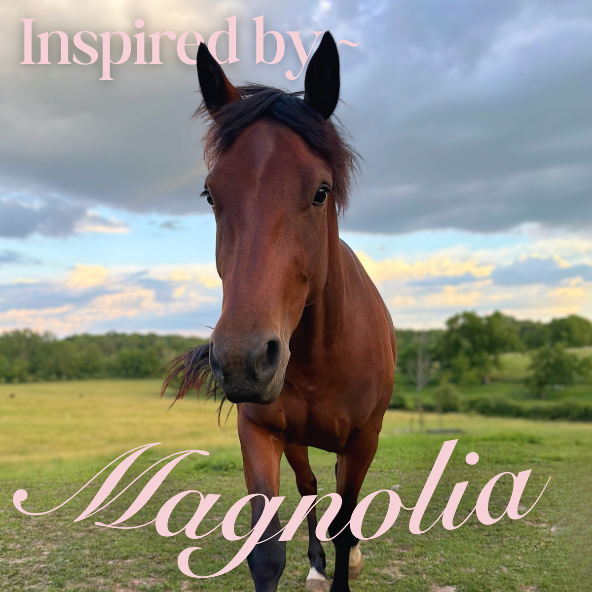 Majestic Magnolia Hoodie