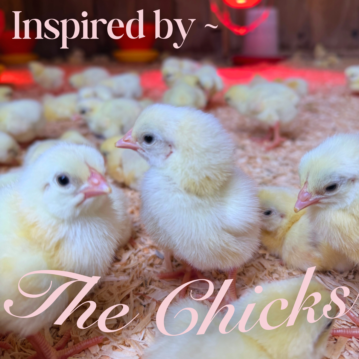 Cute Chick Phone Case
