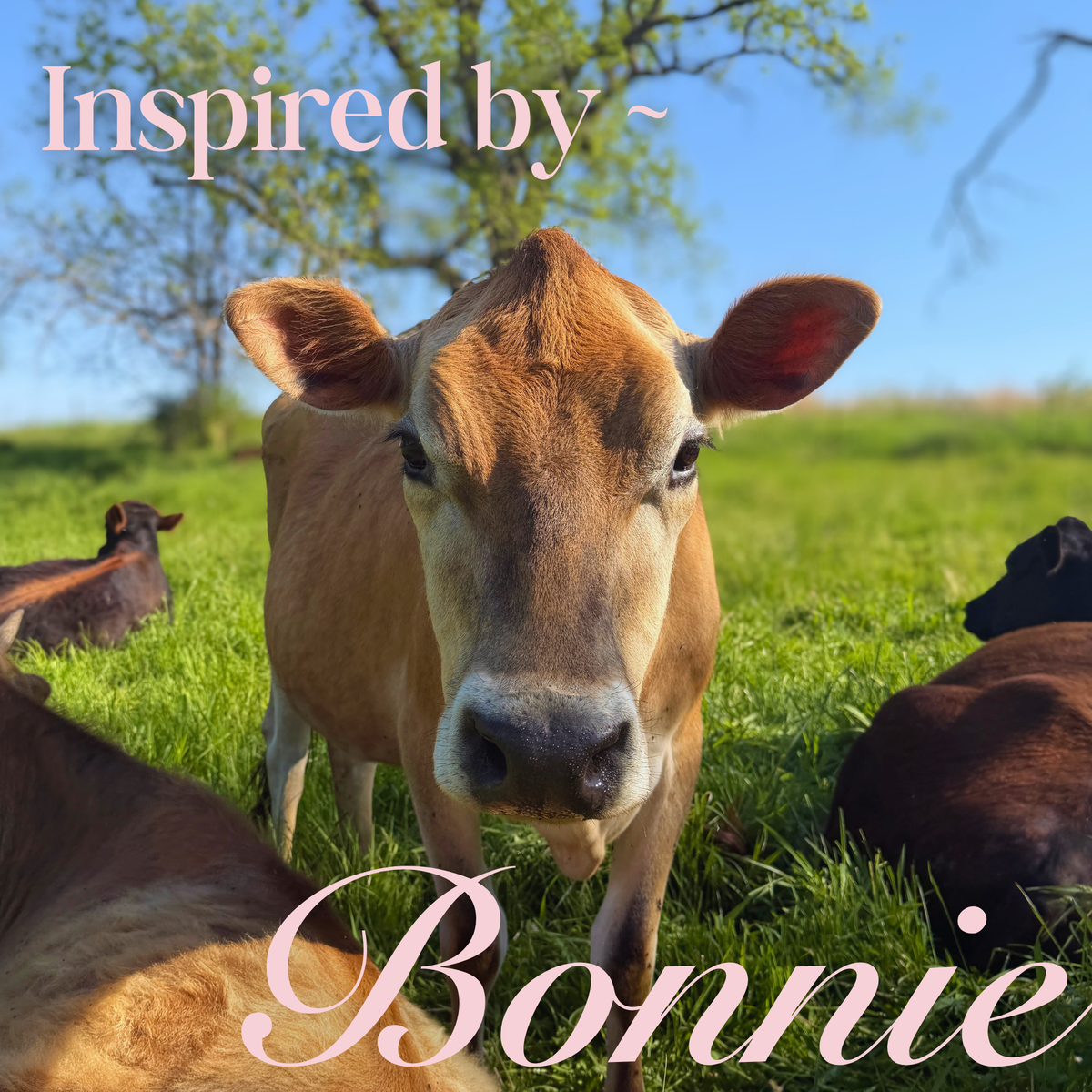 Beautiful Bonnie Hoodie