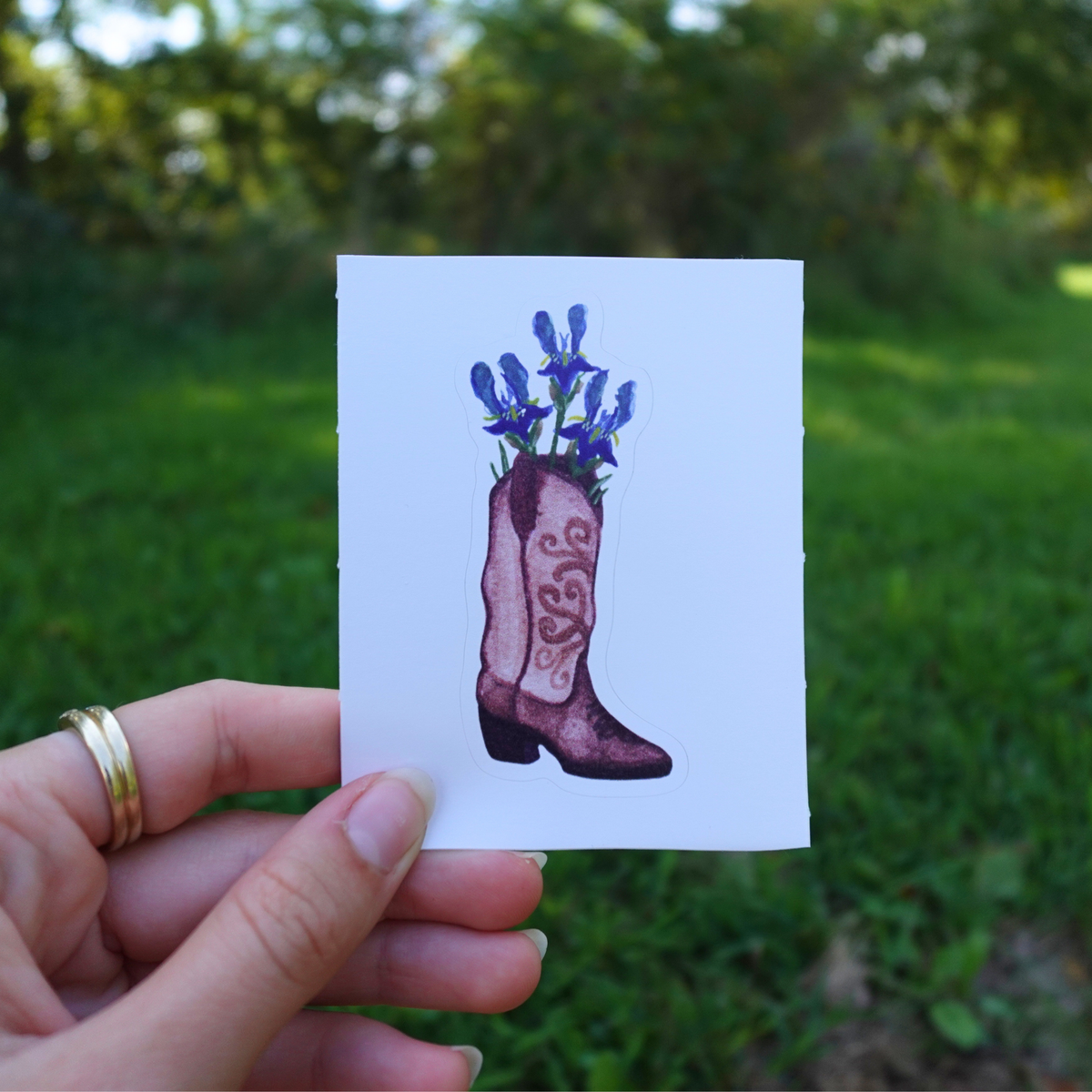 Iris Boot Sticker