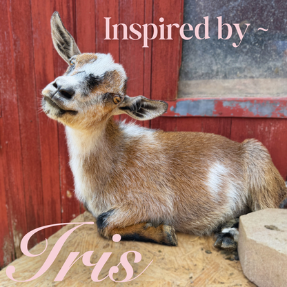 Incredible Iris Hoodie